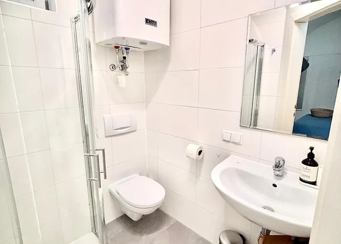 公寓 Franziskaner #6 格拉茨